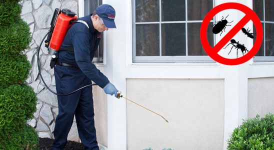 Osmaneli Hamam Böceği İlaçlama böcek ilaçlama ve haşere kontrolü — ilaclama-tr.com